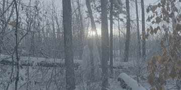 Once There Was A Winter